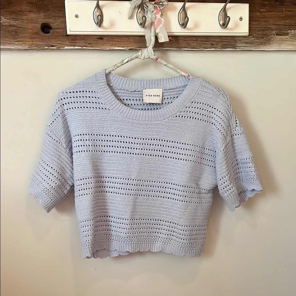 Pink Rose Blue Boxy Crop T-Shirt